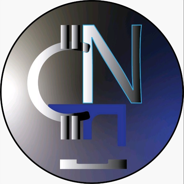 CryptoNewsFocus.com old logo