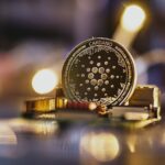 Cardano
