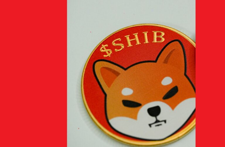 Shiba Inu Coin Burn Surge: Will SHIB Hit $0.000035 Amidst Market Volatility?