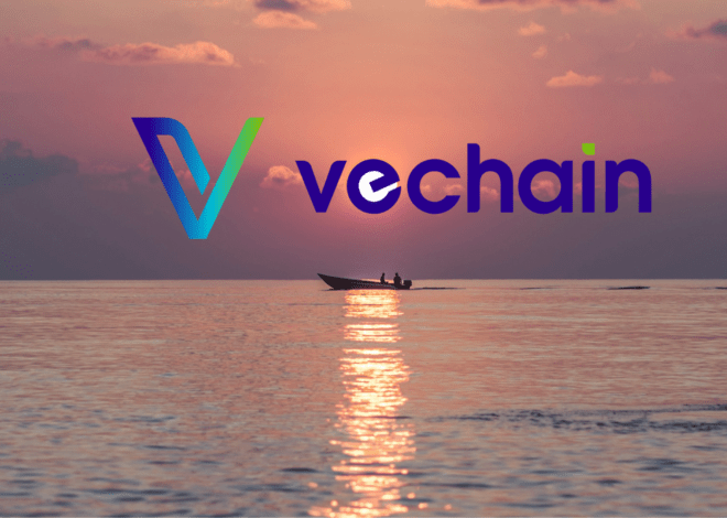 VeChain February End Price Analysis and Prediction: How Resilience is VET?
