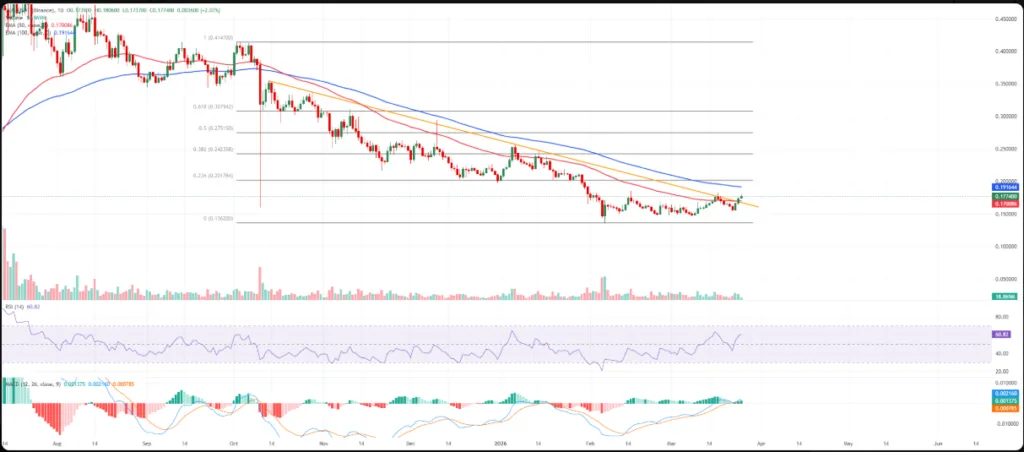 XLM/USDT price chart for 24 hours period