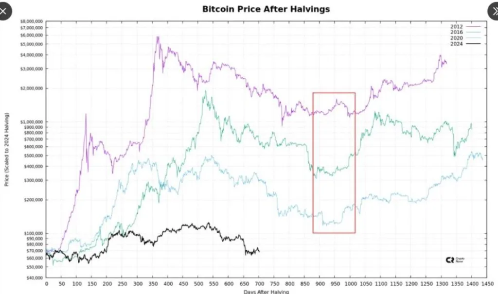 BITCOIN PRICE CHART AFTER HALVINGS