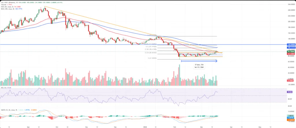 SOL/USDT PRICE CHART FOR 24 HOURS PERIOD