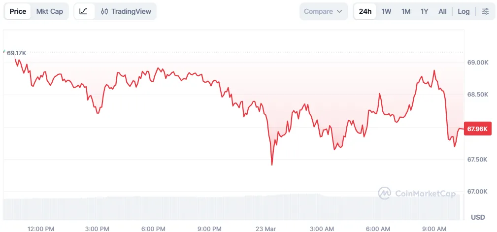 Bitcoin price chart for 24 hours period