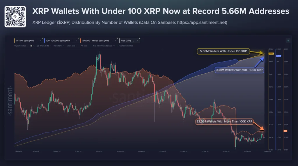 XRP WALLET ACTIVITY CHART