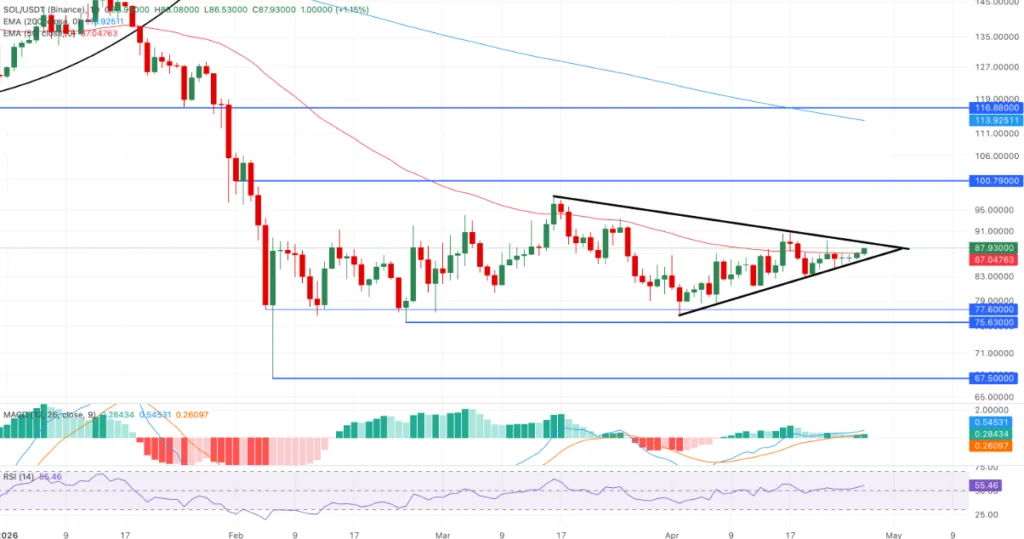 SOL/USDT price chart for 24 hours period
