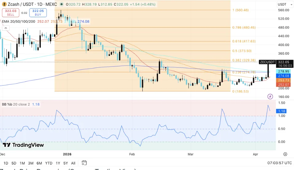 Zcash/USDT Price chart for 24 hours period