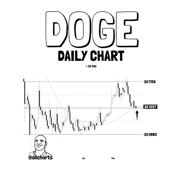 DOGECOIN PRICE CHART FOR 24 HOURS PERIOD