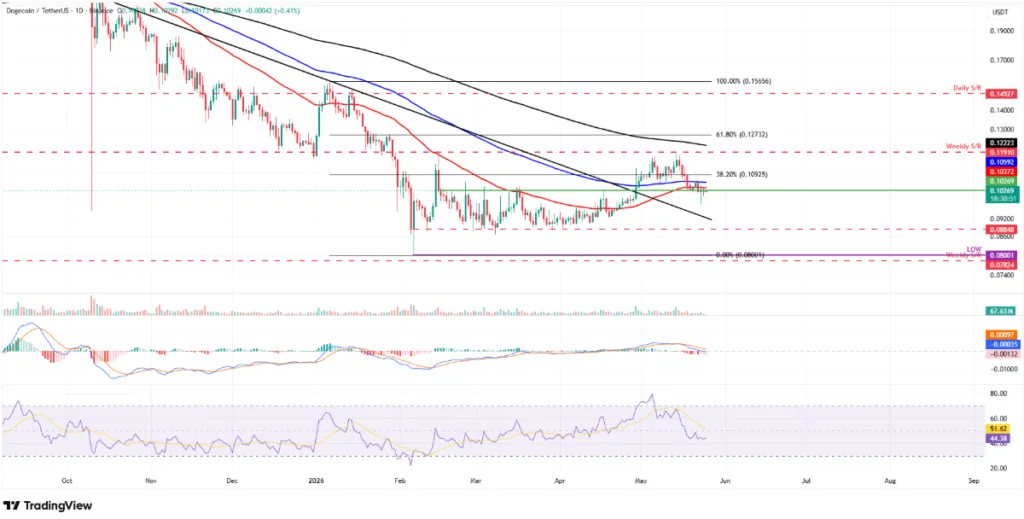 DOGE/USDT PRICE CHART FOR 24 HOURS PERIOD