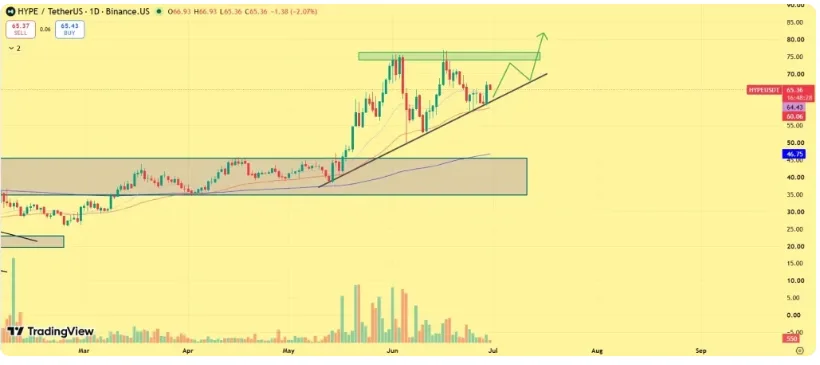 HYPE/TetherUS PRICE CHART FOR 24 HOURS PERIOD
