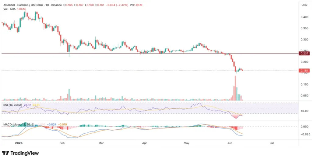 ADA/USD PRICE CHART FOR 24 HOURS PERIOD