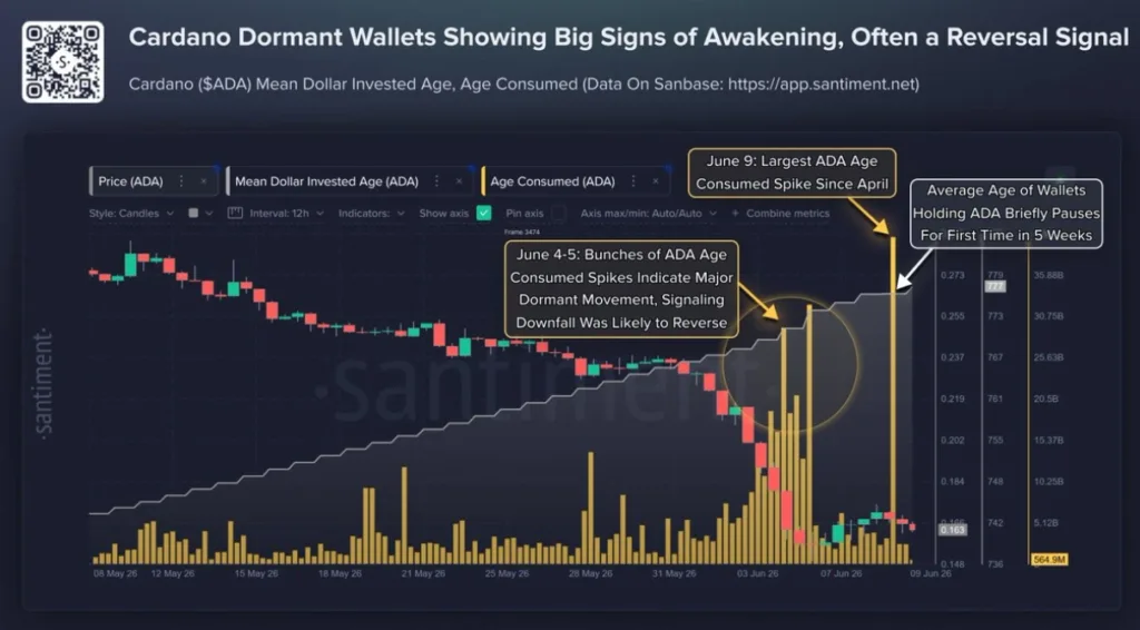 CARDANO DORMANT WALLET CHART 