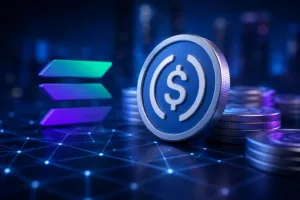 Image of USDC on the Solana blockchain.