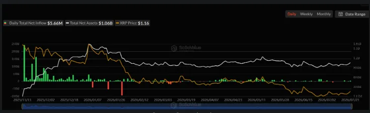 XRP's daily transactions chart