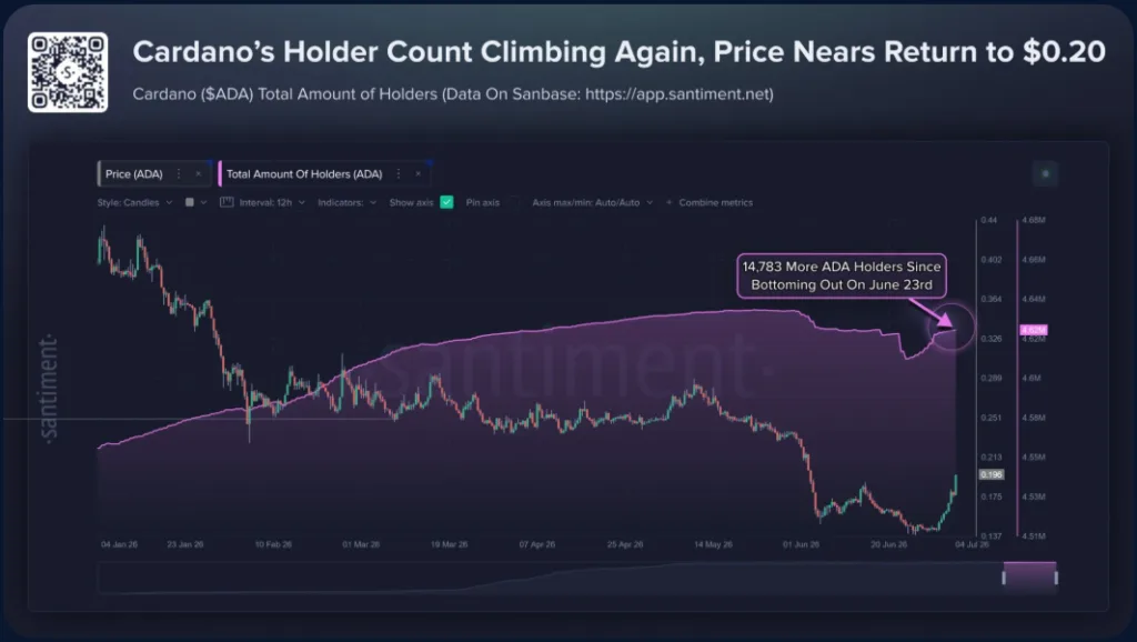 CARDANO'S HOLDER COUNT CHART
