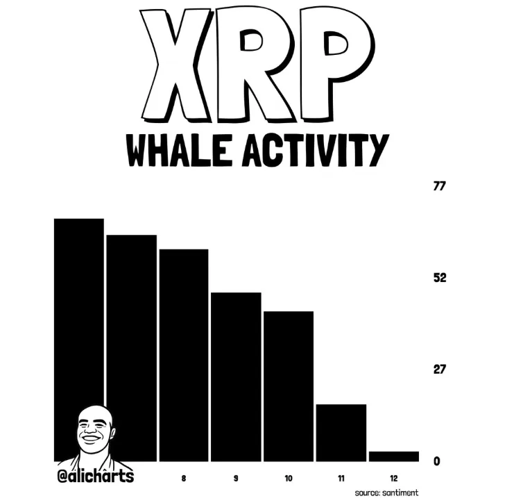 XRP WHALE ACTIVITY FROM ALI MARTINEZ