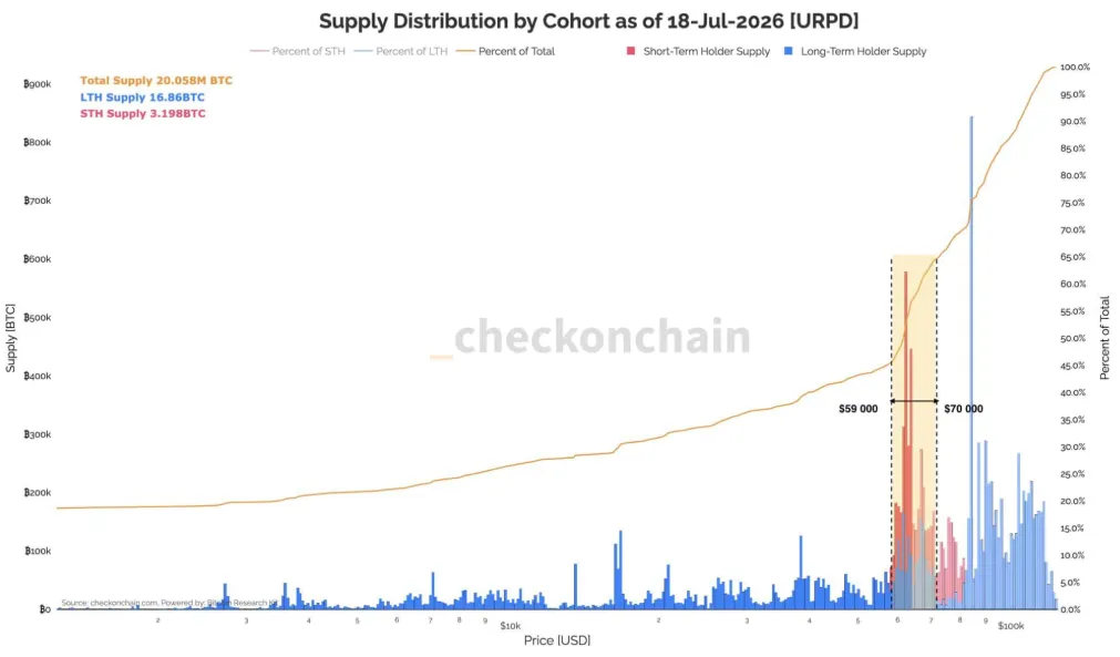 SUPPLY DISCRIBUTION BY COHORT