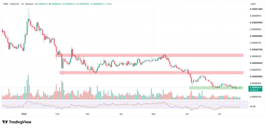 SHIB/USDT PRICE CHART FOR 24 HOURS PERIOD