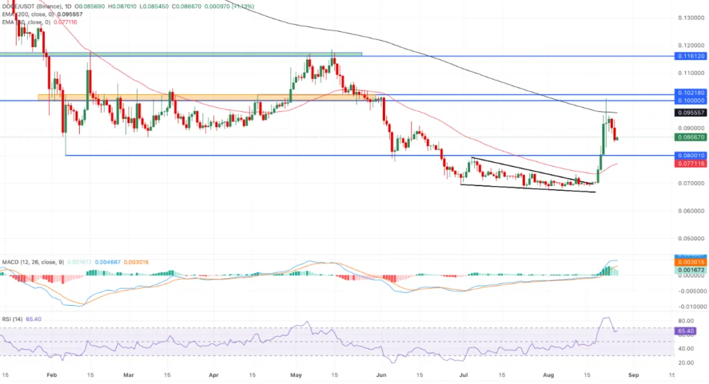 DOGE/USDT PRICE CHART FOR 24 HOURS PERIOD