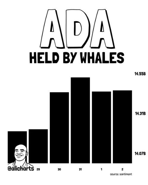 ADA HELD BY WHALES CHART FROM X