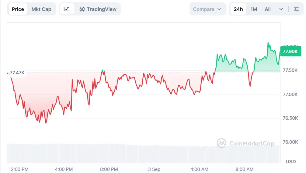 Bitcoin price chart for 24 hours period