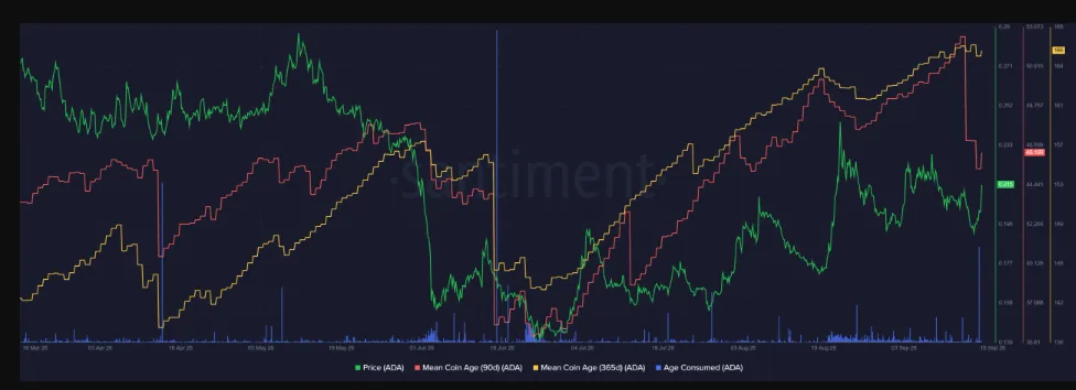 MVRV CHART