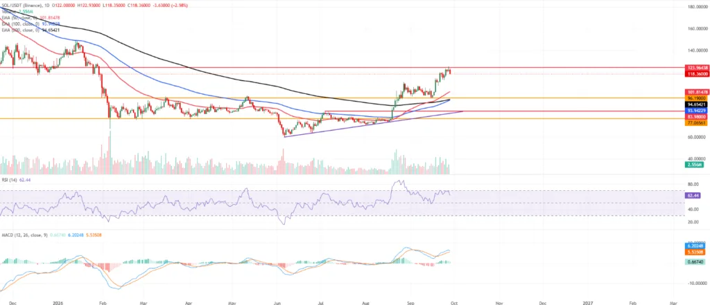 SOL/USDT PRICE CHART FOR 24 HOURS PERIOD