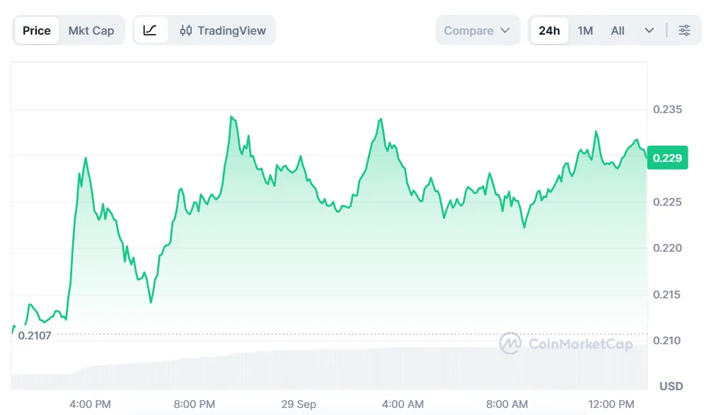 STELLAR XLM PRICE CHART FOR 24 HOURS PERIOD
