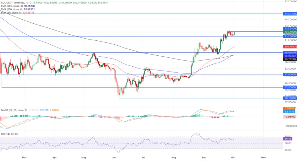 SOL/USDT PRICE CHART FOR 24 HOURS PERIOD